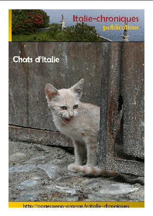les chats d'italie