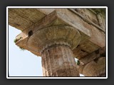 chapiteau dorique temple d'Hera Paestum