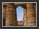 colonnade temple d'hera paestum