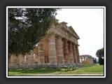 paestum temple de neptune 2