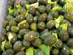 olives coretina des pouilles