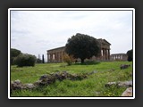 paestum temple de neptune