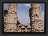 temple d'hera paestum 2