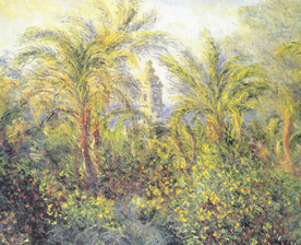 palmiers a bordighera